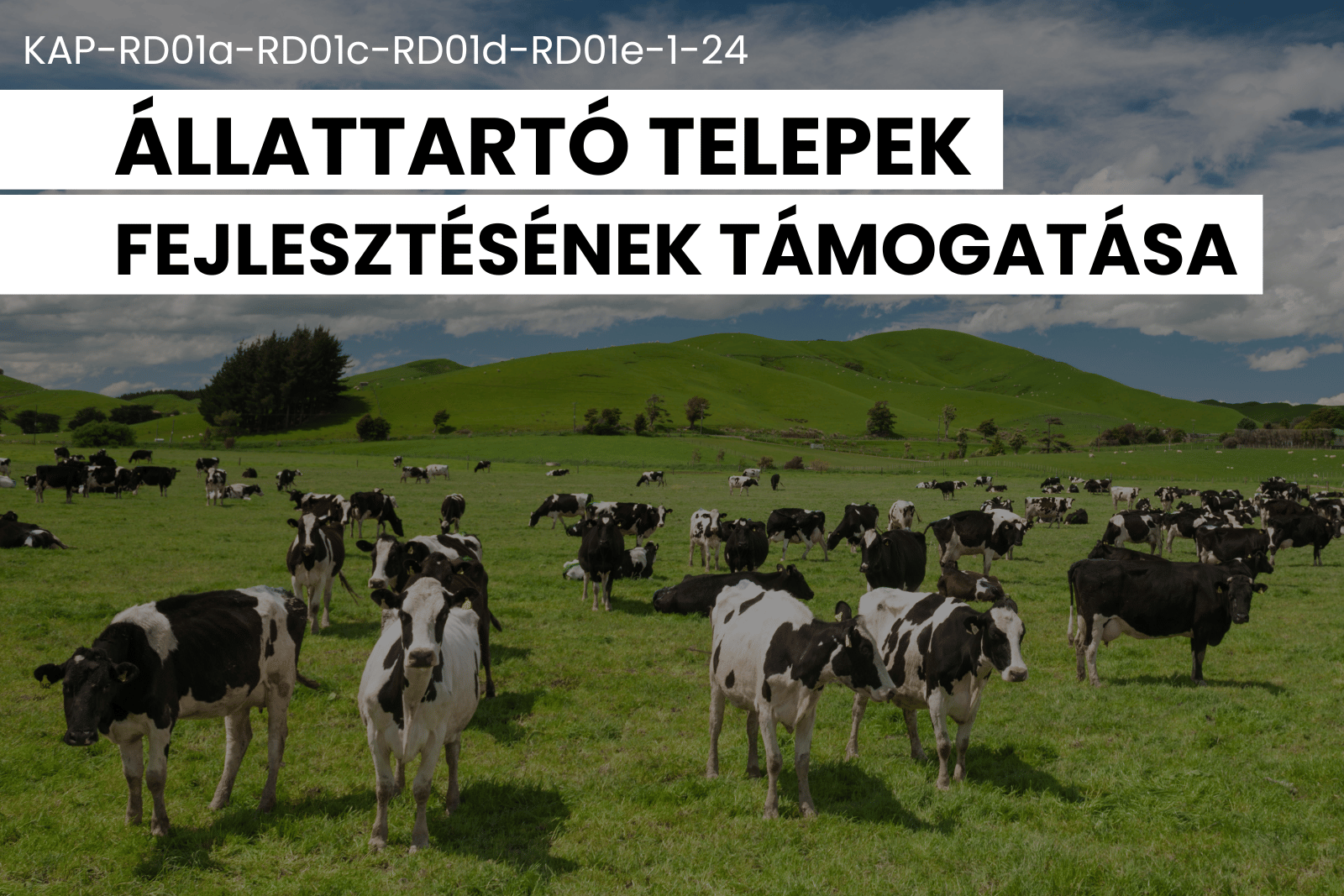 állattartó telepek