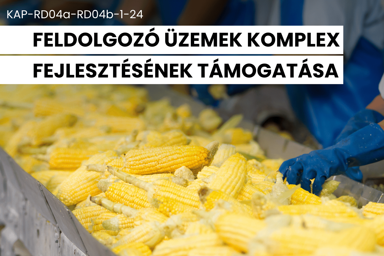 feldolgozó üzemek