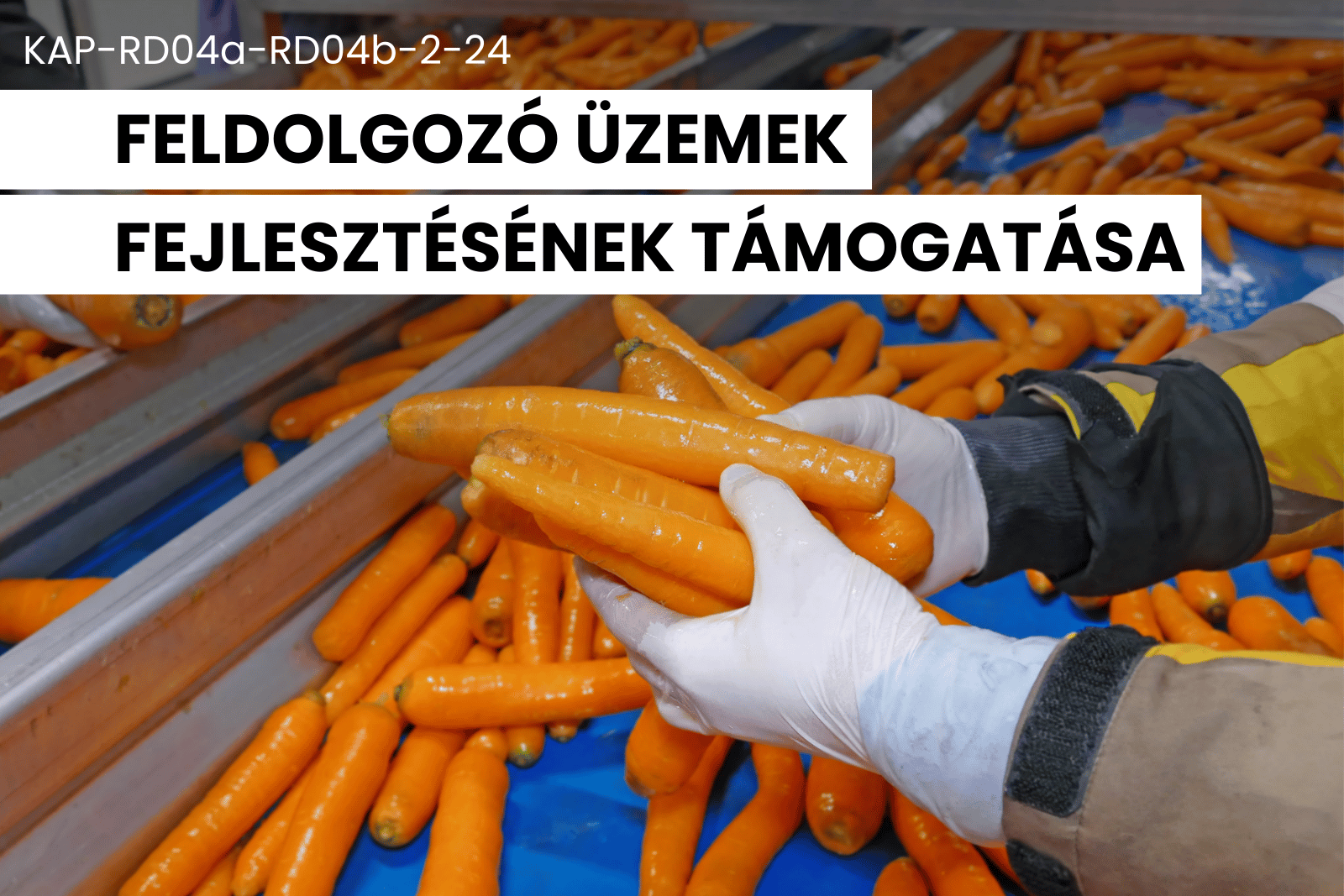 feldolgozó üzemek