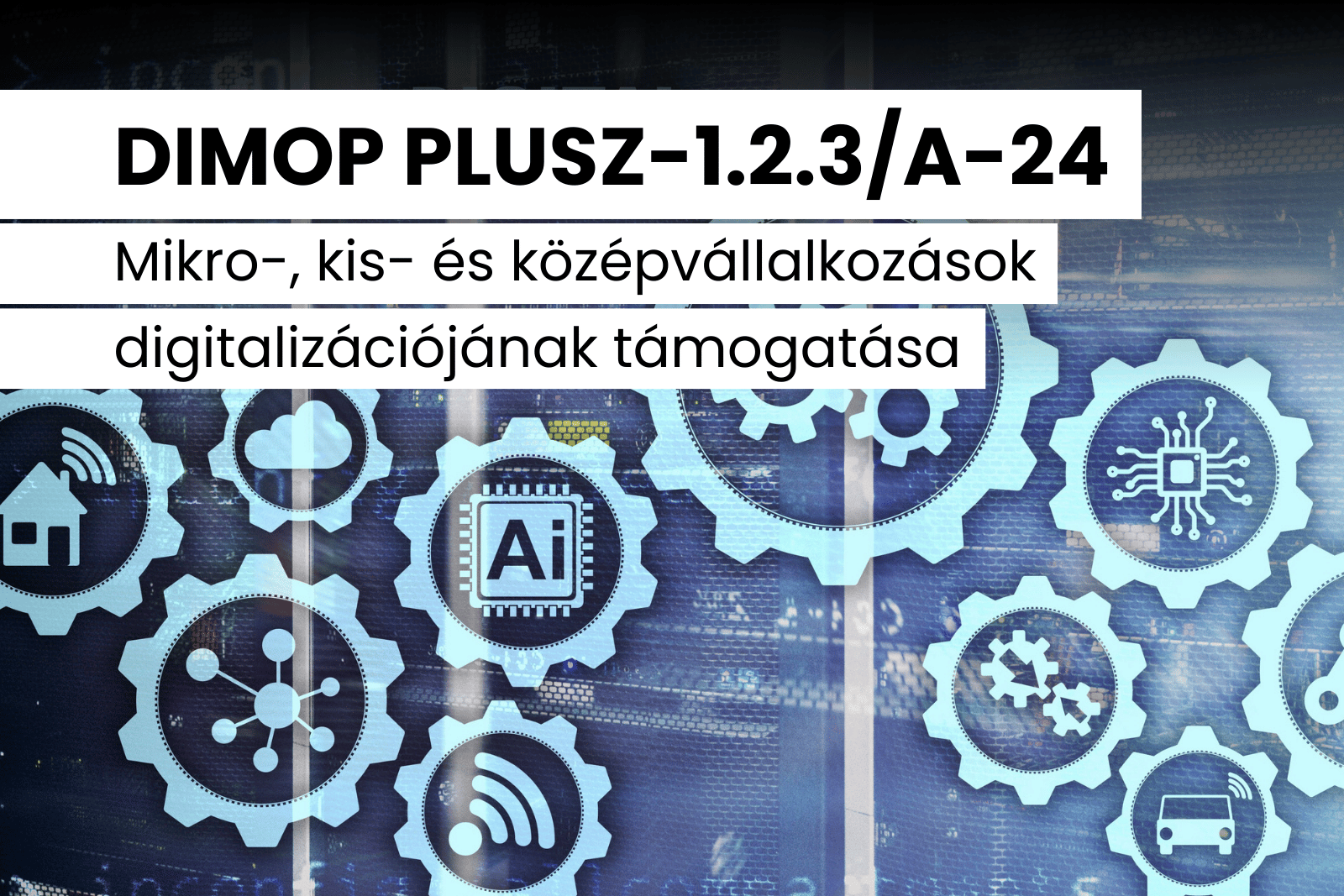 DIMOP PLUSZ-1.2.3/A-24